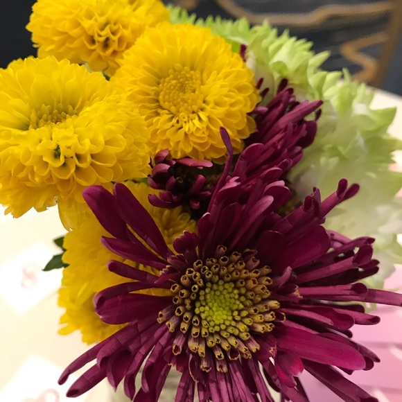 Meet your Posher, Debra - Picture 2 of 3